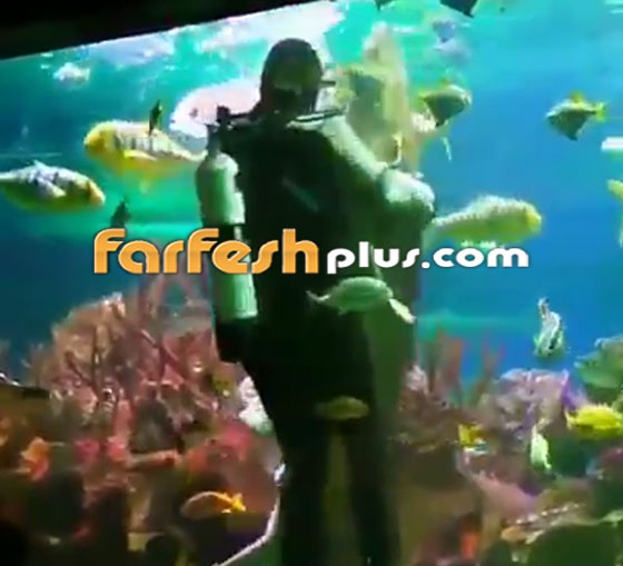 فيديو مدهش.. غواص يراقص سمكة قرش ضخمة في مشهد رومانسي مميز! صورة رقم 3