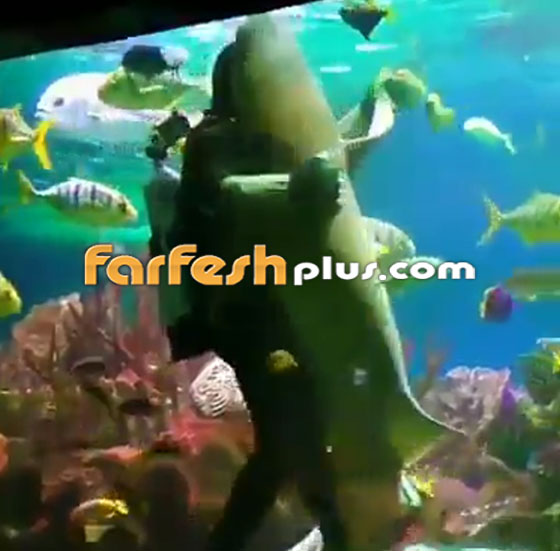 فيديو مدهش.. غواص يراقص سمكة قرش ضخمة في مشهد رومانسي مميز! صورة رقم 4