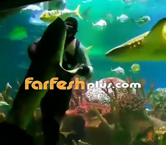 فيديو مدهش.. غواص يراقص سمكة قرش ضخمة في مشهد رومانسي مميز! صورة رقم 6