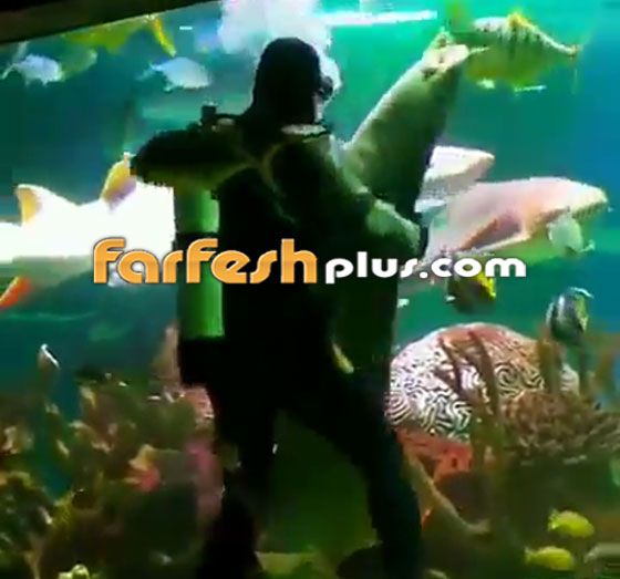 فيديو مدهش.. غواص يراقص سمكة قرش ضخمة في مشهد رومانسي مميز! صورة رقم 8