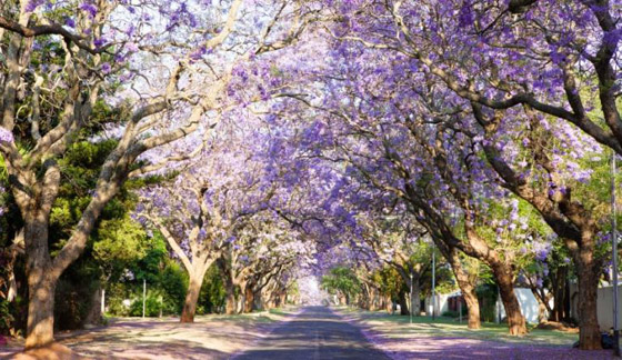  ���� ��� 9 - ������: ����� 10 �� ���� ������� ������ ������ �� ��� ������