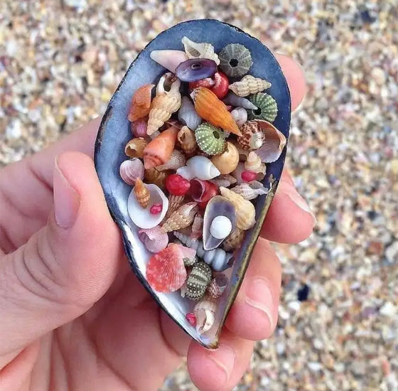 جمع الصدف وإطعام المشردين.. وأغرب الأفعال المحظورة في بعض الدول صورة رقم 1