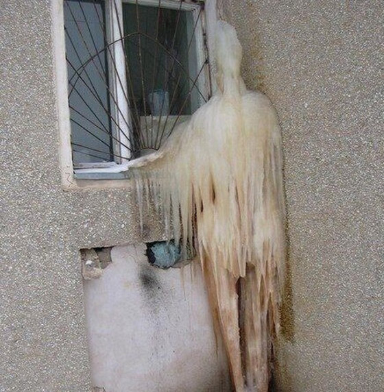 صور مرعبة أصابت أصحابها بالفزع للحظات صورة رقم 9