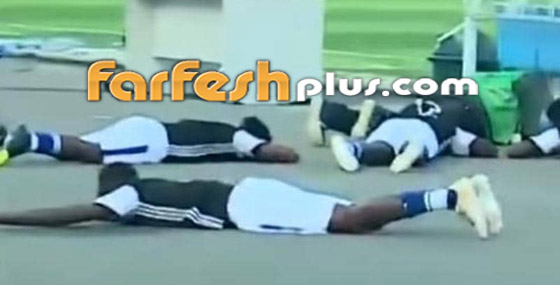 هجوم سرب نحل يوقف مباراة كرة ويجبر اللاعبين على الانبطاح أرضا! صورة رقم 2