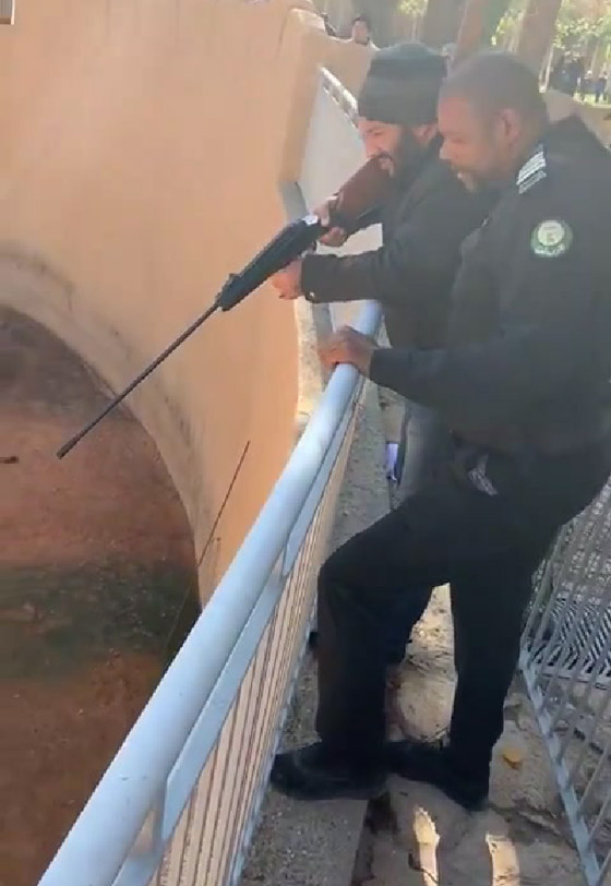 هجوم نمر على سوداني في حديقة حيوان والضحية يروي تفاصيل الحادثة! صورة رقم 5 هجوم نمر على سوداني في حديقة حيوان والضحية يروي تفاصيل الحادثة! صورة رقم 5
