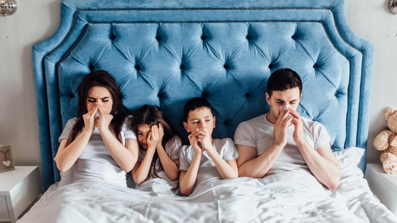 لتجنب الإنفلونزا.. أشياء لا يمكنك لمسها لأنها تحتوي على الجراثيم صورة رقم 1