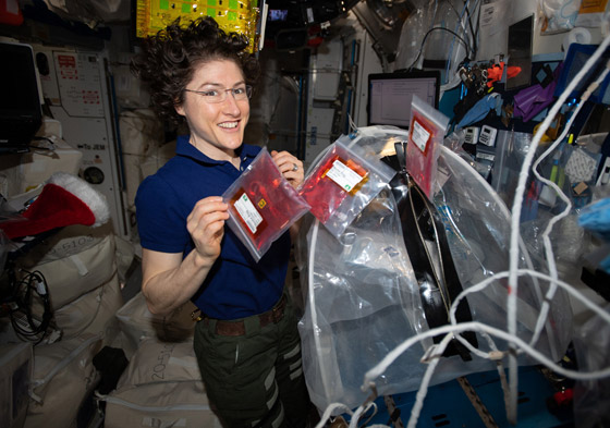 قضت أطول وقت في الفضاء الخارجي.. رائدة فضاء تدخل التاريخ! صورة رقم 9