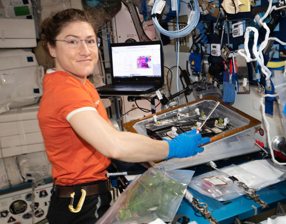 قضت أطول وقت في الفضاء الخارجي.. رائدة فضاء تدخل التاريخ! صورة رقم 13