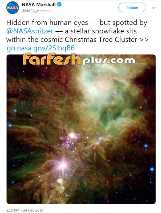 بالصور: شاهدوا شجرة عيد الميلاد التي رصدتها ناسا في الفضاء! صورة رقم 1