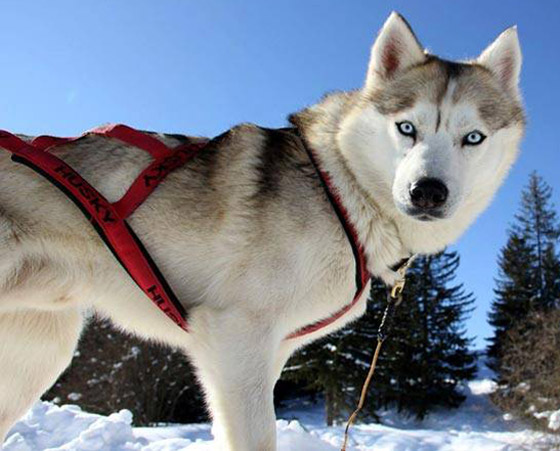  ���� ��� 1 - ���: ������ ��� ���� ����� 5 ���� ��� ������