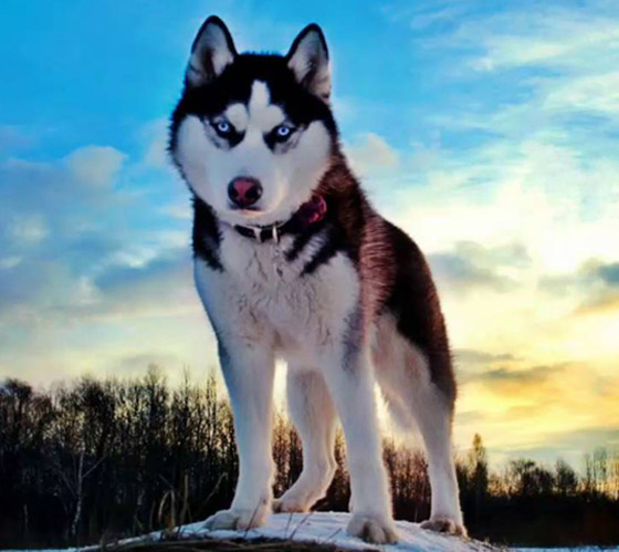  ���� ��� 2 - ���: ������ ��� ���� ����� 5 ���� ��� ������