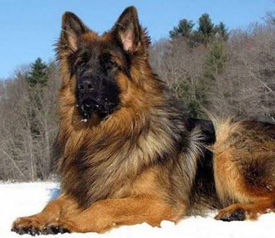  ���� ��� 3 - ���: ������ ��� ���� ����� 5 ���� ��� ������