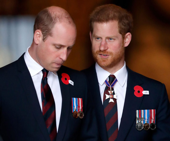 قلق جديد في القصر الملكي... ماذا يُحضّر الأمير هاري؟ صورة رقم 2