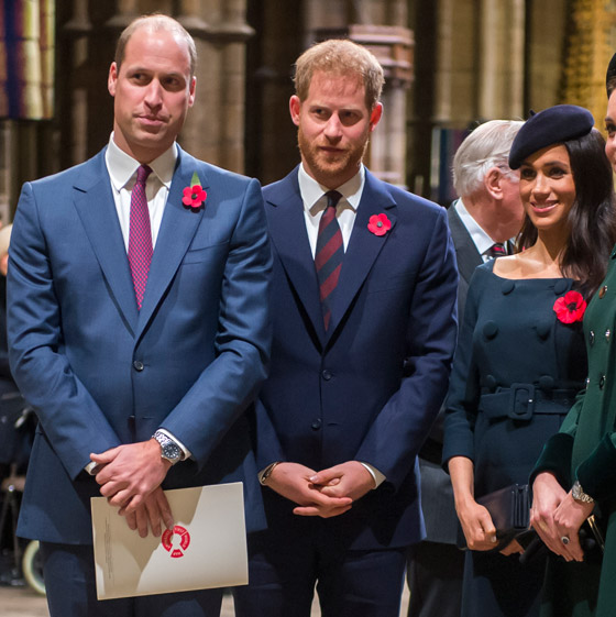 قلق جديد في القصر الملكي... ماذا يُحضّر الأمير هاري؟ صورة رقم 4