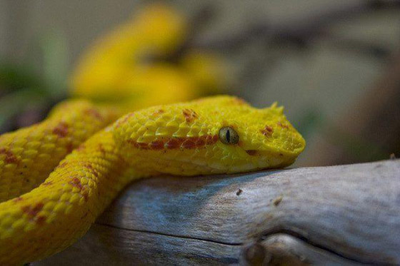 بالصور: هذه المناطق ممنوع زيارتها في العالم صورة رقم 5