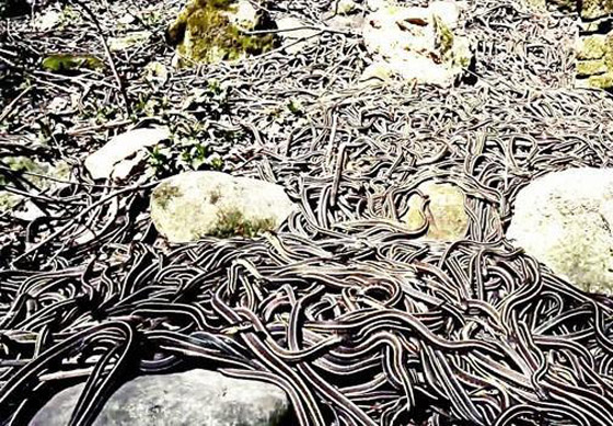 بالصور: هذه المناطق ممنوع زيارتها في العالم صورة رقم 3