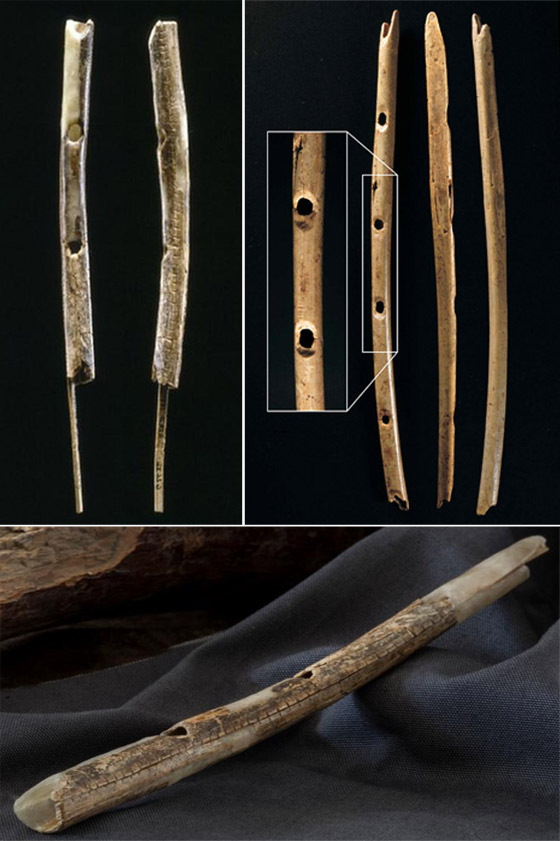 أقدمها يصل عمره إلى 43 ألف عام.. إليكم أقدم آلات موسيقية في العالم! صورة رقم 7 أقدمها يصل عمره إلى 43 ألف عام.. إليكم أقدم آلات موسيقية في العالم! صورة رقم 7