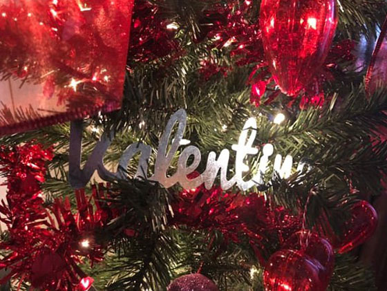 أشجار الفالنتاين.. توجه جديد هذا العام صورة رقم 10