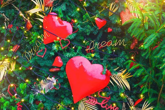 أشجار الفالنتاين.. توجه جديد هذا العام صورة رقم 14