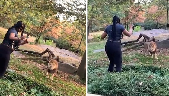 تعرفوا إلى أغرب الجرائم التي حدثت في أمريكا عام 2019! صورة رقم 3