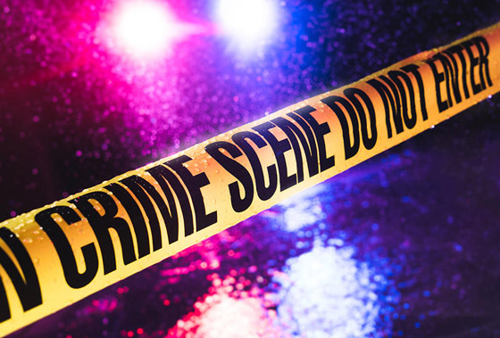 تعرفوا إلى أغرب الجرائم التي حدثت في أمريكا عام 2019! صورة رقم 4