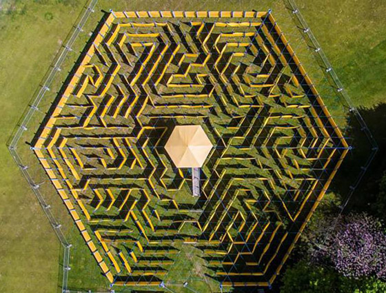 أكبر متاهة في العالم بأبو ظبي.. تحتاج لمهارتين فقط للخروج منها! صورة رقم 1