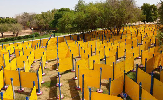 أكبر متاهة في العالم بأبو ظبي.. تحتاج لمهارتين فقط للخروج منها! صورة رقم 2