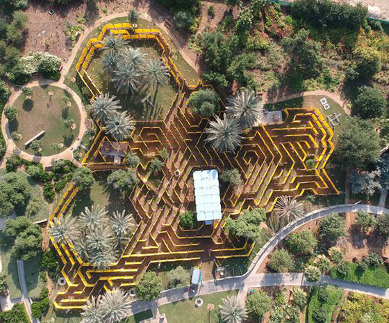 أكبر متاهة في العالم بأبو ظبي.. تحتاج لمهارتين فقط للخروج منها! صورة رقم 7