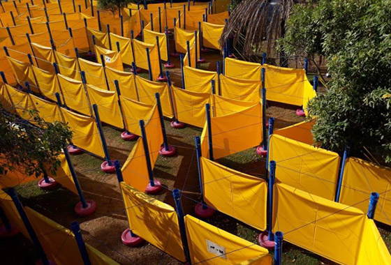 أكبر متاهة في العالم بأبو ظبي.. تحتاج لمهارتين فقط للخروج منها! صورة رقم 8