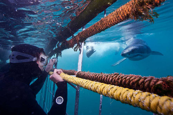 صور 10 شواطئ هي الأخطر فى العالم! احذروها! صورة رقم 1