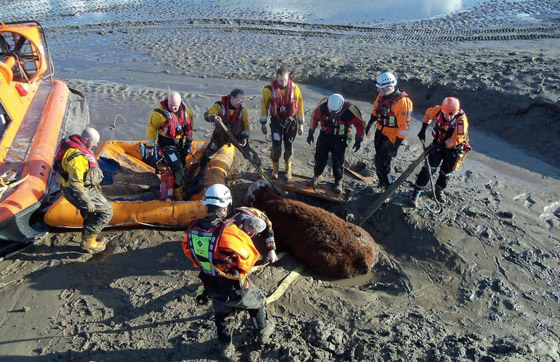 صور 10 شواطئ هي الأخطر فى العالم! احذروها! صورة رقم 10