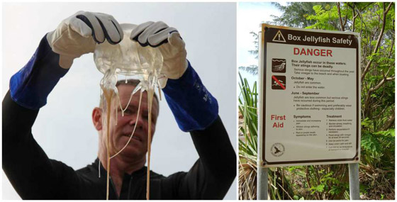 صور 10 شواطئ هي الأخطر فى العالم! احذروها! صورة رقم 8