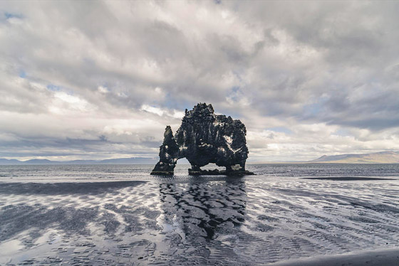 اكتشافات جديدة تثير الجدل حول كيفية انقراض الديناصورات صورة رقم 5