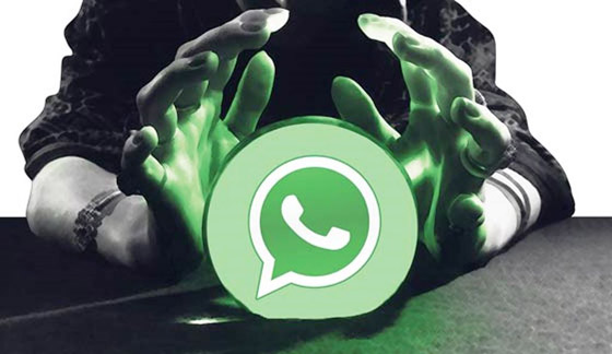 بالفيديو: نصف مليون مجموعة على واتساب معرضة للاختراق.. ما هو الحل؟ صورة رقم 4