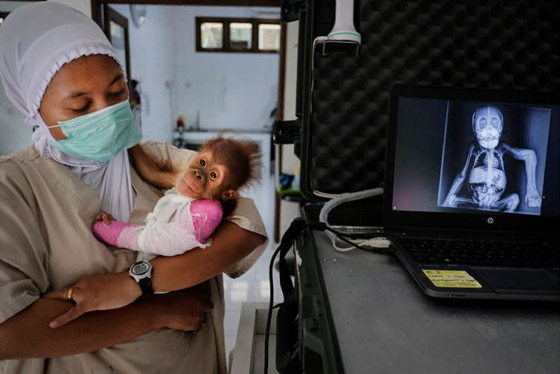 إليكم الصور الرائعة الفائزة في مسابقة مصور السفر لعام 2019 صورة رقم 4