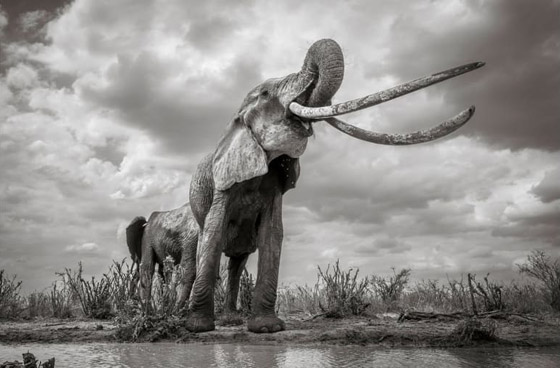 إليكم الصور الرائعة الفائزة في مسابقة مصور السفر لعام 2019 صورة رقم 14