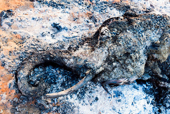 إليكم الصور الرائعة الفائزة في مسابقة مصور السفر لعام 2019 صورة رقم 15