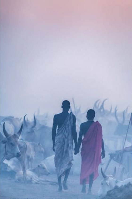 إليكم الصور الرائعة الفائزة في مسابقة مصور السفر لعام 2019 صورة رقم 16