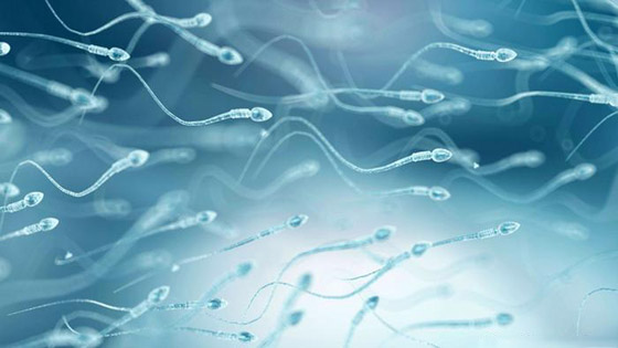 الطماطم أو البندورة.. استعمالات مختلفة وفوائد غذائية وصحية عدة صورة رقم 3