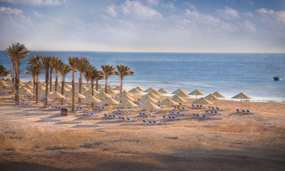 لماذا سمي البحر الأحمر بهذا الاسم؟ صورة رقم 2