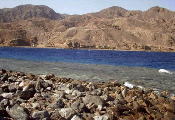 لماذا سمي البحر الأحمر بهذا الاسم؟ صورة رقم 3