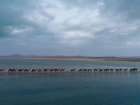 أماكن رائعة الجمال لن تصدق أنها في السعودية! صورة رقم 2