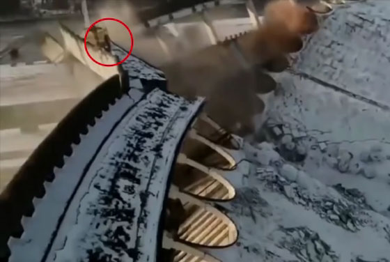 فيديو يحبس الأنفاس.. انهيار سقف مجمع رياضي في بطرسبورغ أثناء وجود عمال عليه لتفكيكه صورة رقم 11 فيديو يحبس الأنفاس.. انهيار سقف مجمع رياضي في بطرسبورغ أثناء وجود عمال عليه لتفكيكه صورة رقم 11