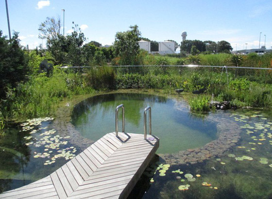 ستتمنى لو فاتتك الطائرة.. أفضل وأجمل فنادق المطارات في العالم صورة رقم 3