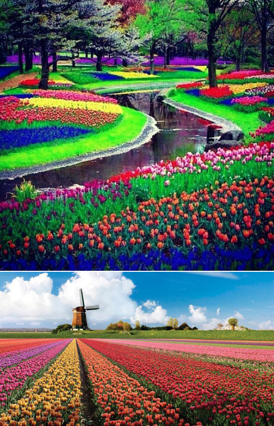 بالصور: إليكم أكبر الحدائق الخلابة في العالم صورة رقم 1