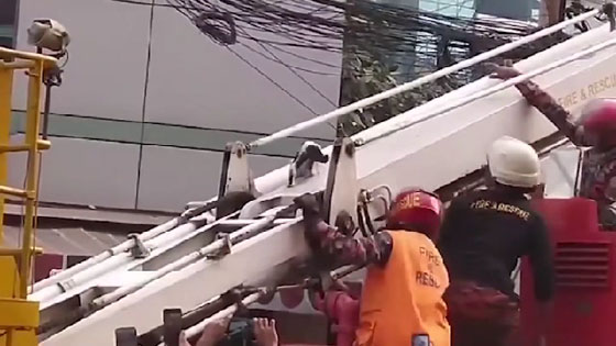 بالفيديو.. إنقاذ قطة علقت ليومين على ناطحة سحاب صورة رقم 4 بالفيديو.. إنقاذ قطة علقت ليومين على ناطحة سحاب صورة رقم 4