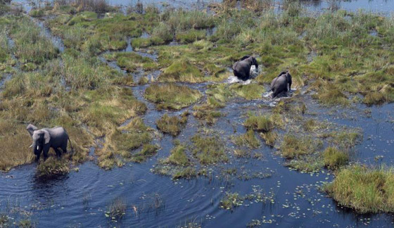 بمناسبة عيد الحب.. تعرفوا إلى أكثر 10 أماكن رومانسية في العالم صورة رقم 5