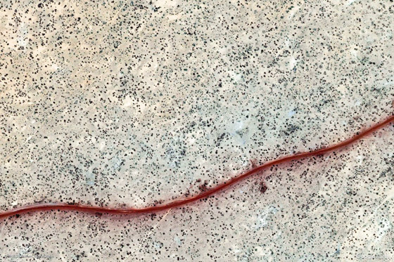 الأرض كما لم ترها من قبل.. صور جديدة مذهلة للكوكب من الفضاء صورة رقم 14