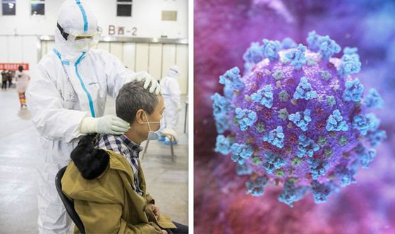 رغم التقدم العلمي.. لماذا لا يوجد لقاح لكورونا حتى الآن؟ صورة رقم 4