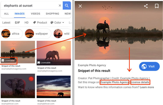 مفاجأة من (غوغل): تقنية ثورية تجعل الصور تحدّثك وتصف نفسها! صورة رقم 3